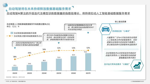 人工智能基礎(chǔ)數(shù)據(jù)服務(wù)白皮書 數(shù)據(jù)處理服務(wù)的關(guān)鍵作用與未來趨勢